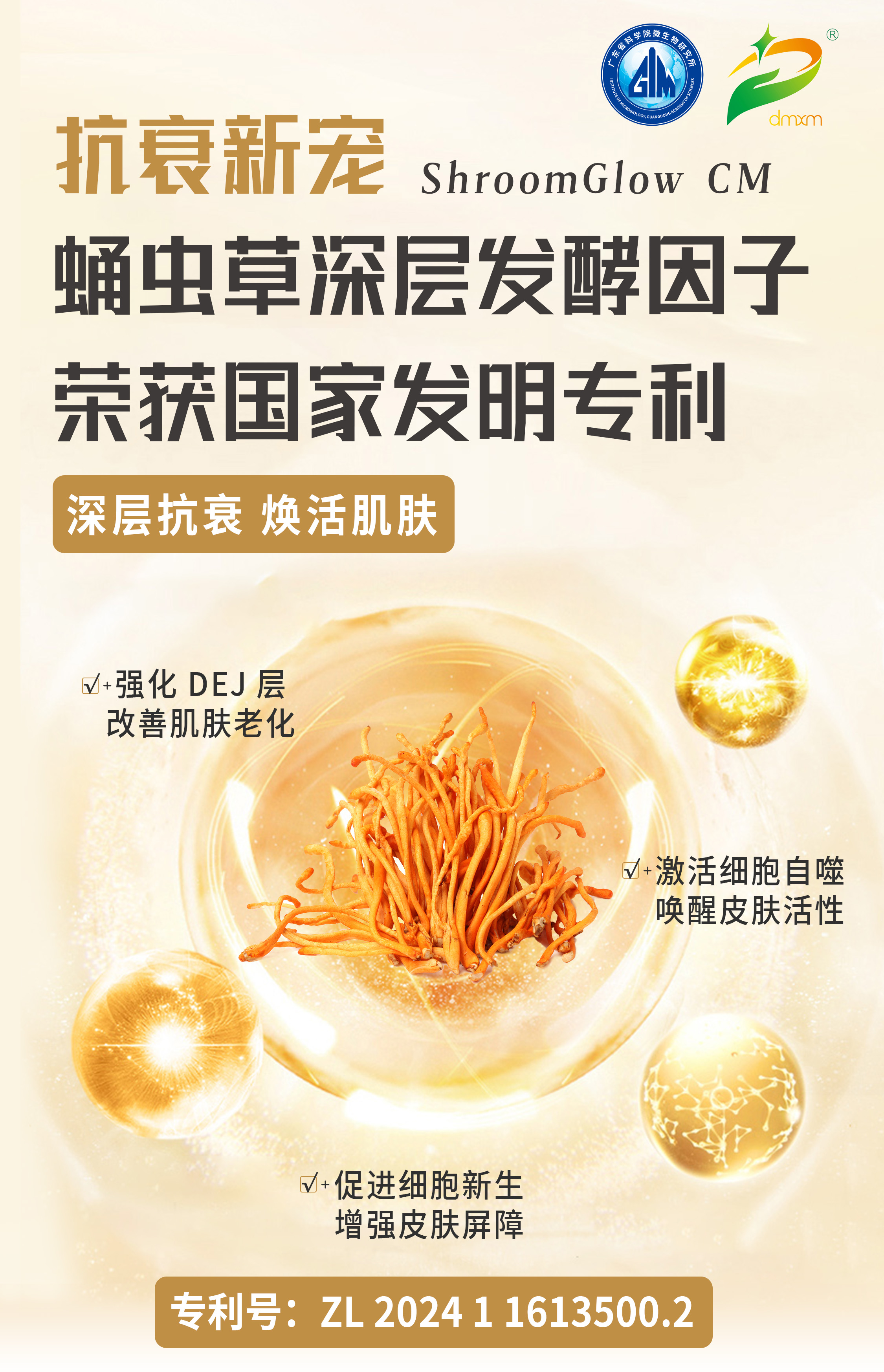 蛹蟲草專利推文首圖.jpg